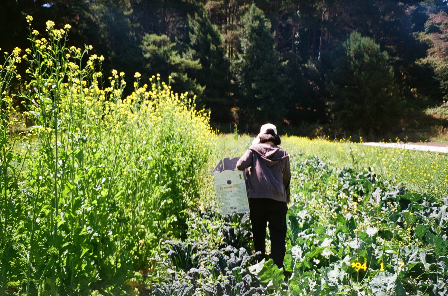 nature so pure — frame 11
